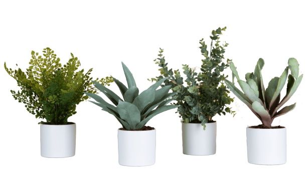 Phoenix Succulente Cylindrical Pots 4-er set blanc (pots de bouteille) Plante artificielle Tanaman   